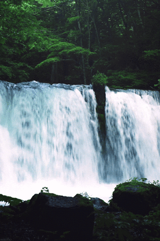 Cascada